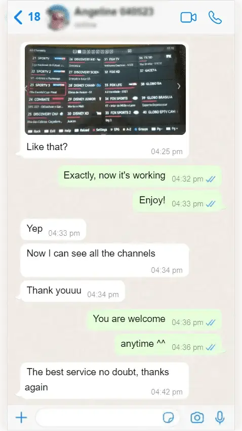 WhatsApp conversation: customer confirming free trial setup